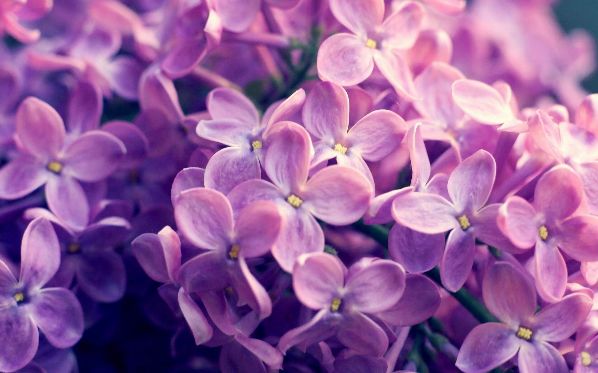 冲出时间的轮回—从德甲焦点战到CBA的破壁者