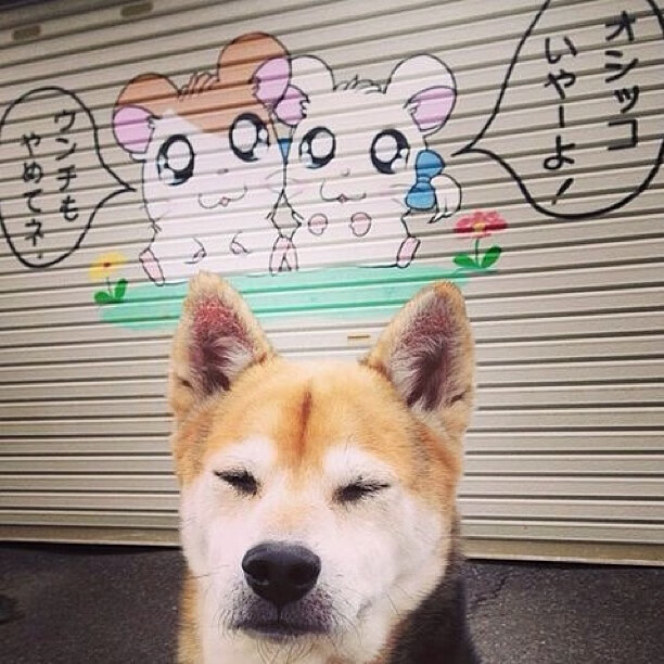 F1与足球的戏剧性共鸣，2023年巴林与都灵的同一夜奇迹