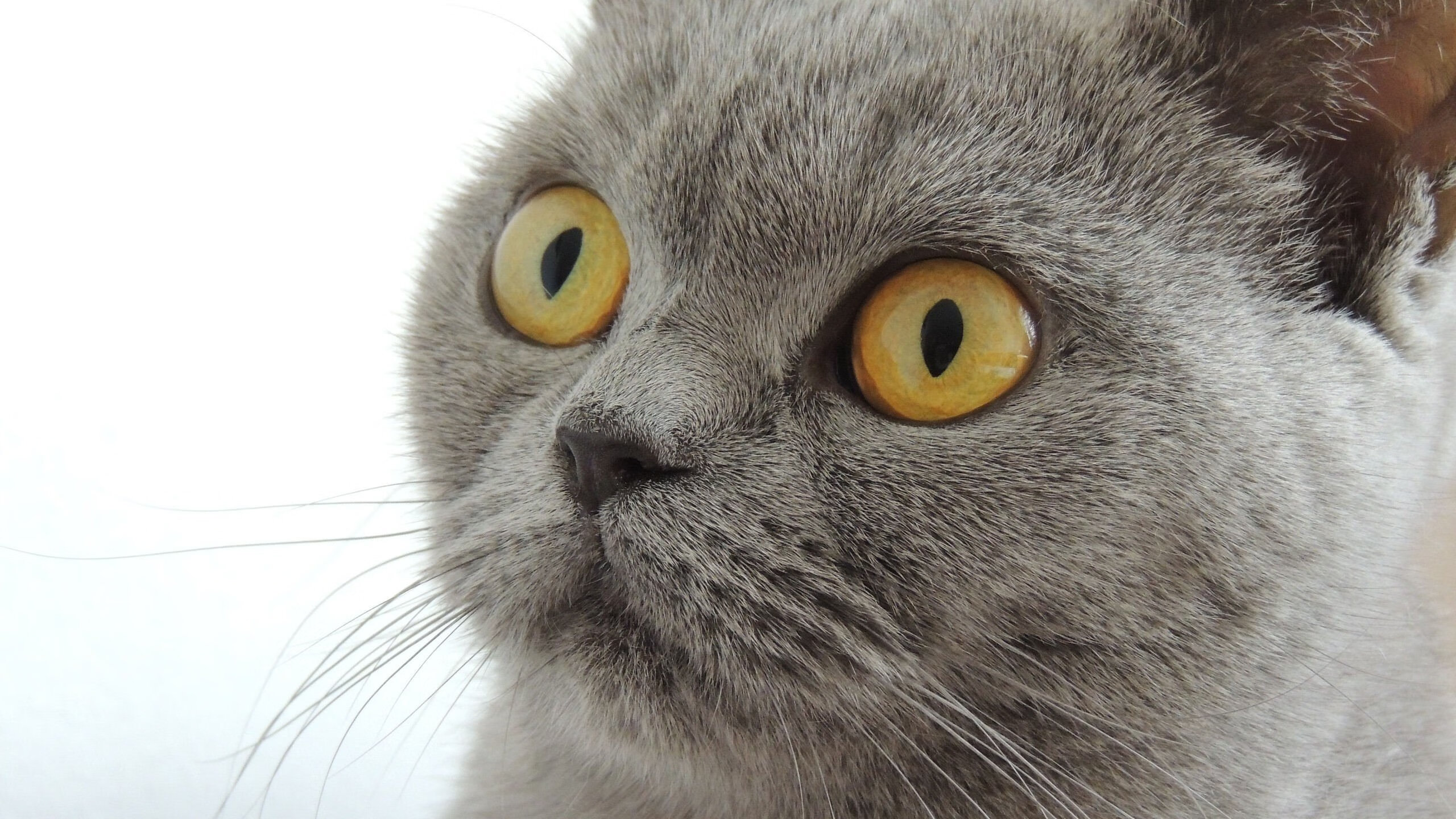 三分雨淹没费城!乔治独揽37分上演关键先生封神之战