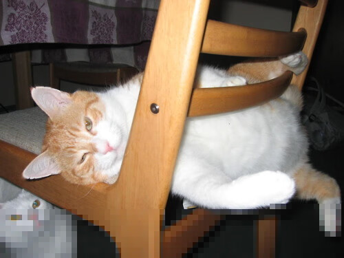 唯一性的璀璨双星,冰岛寒夜淘汰利物浦与阿尔瓦雷斯东决烈火接管