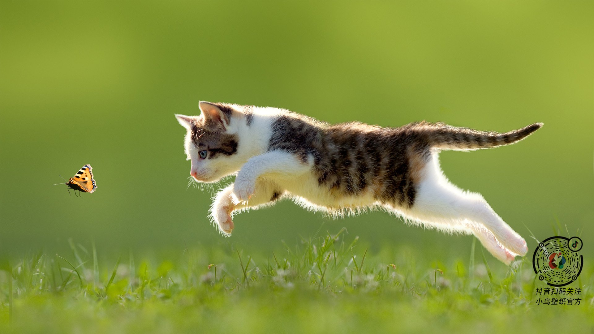 天山雪崩吞没铁锈洪流,恩比德石塔矗立,新疆淘汰活塞