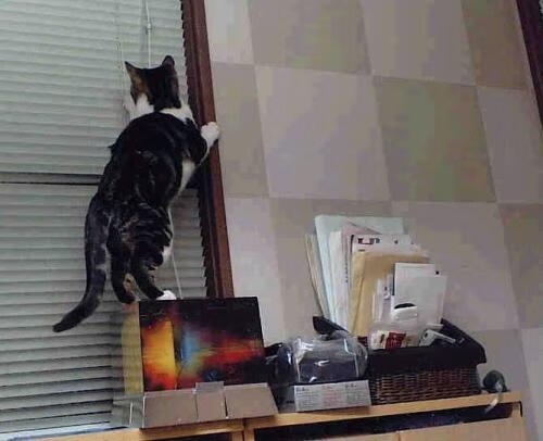 橙色风暴席卷蓝月，本泽马一剑封喉改写曼城欧冠命运