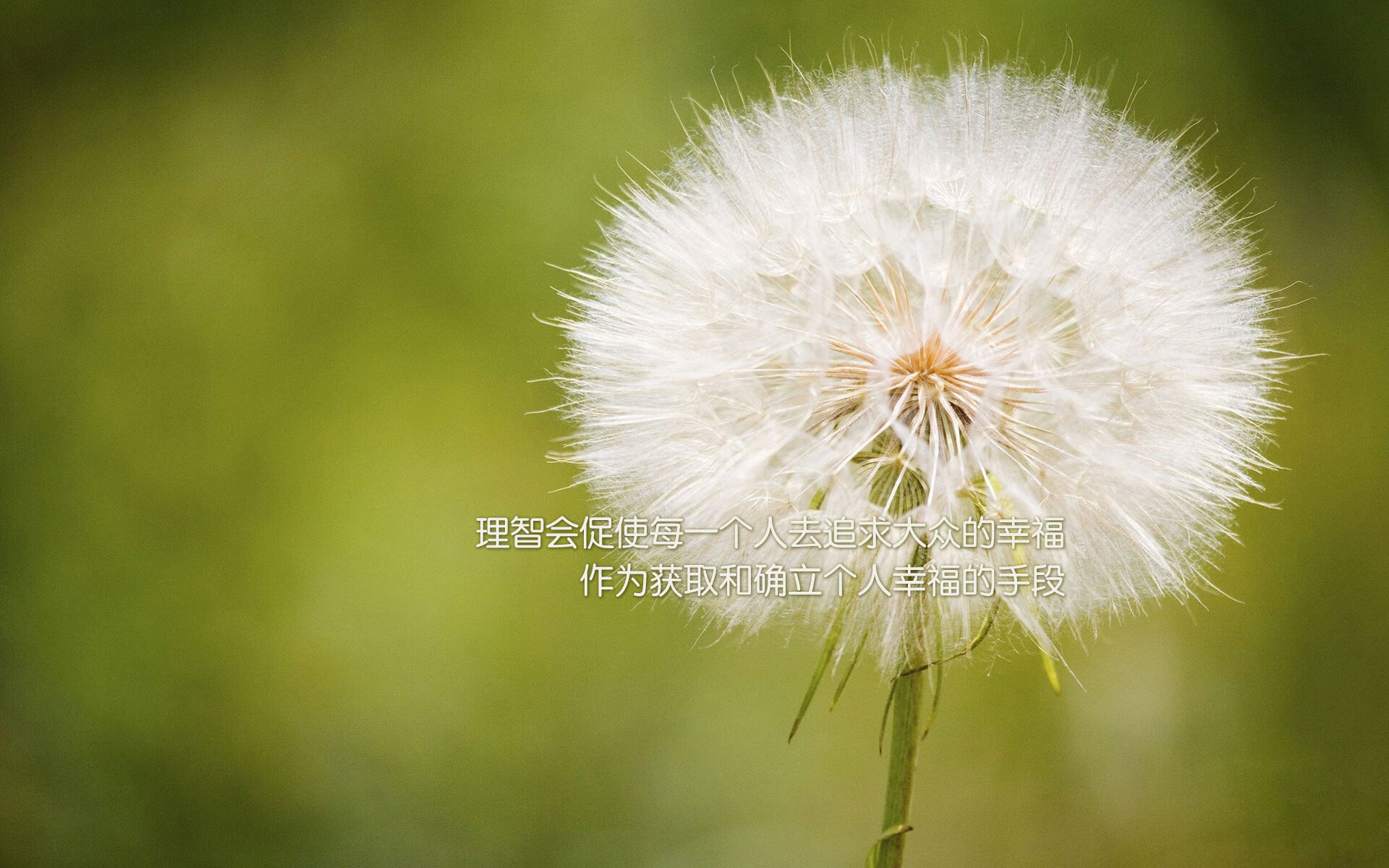 加克波制胜两球！荷兰稳赢国米，新领袖诞生记