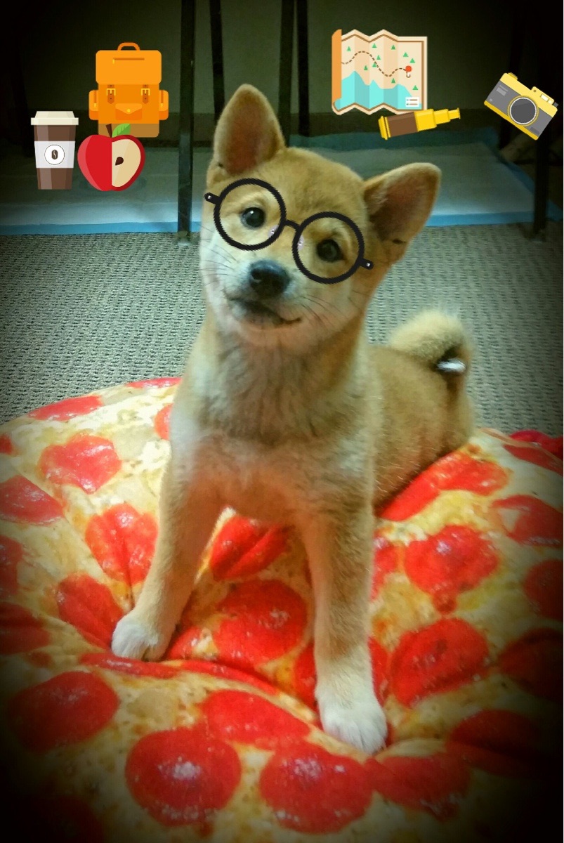 跨界奇迹,足球悍将富安健洋的NBA季后赛之夜