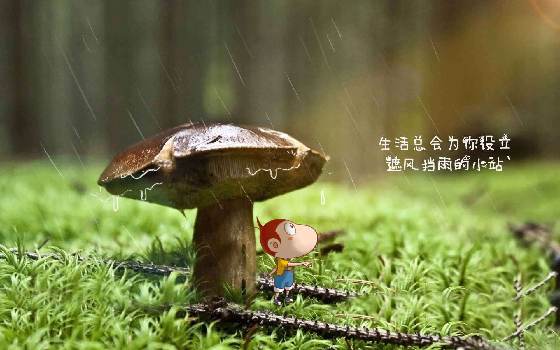 狼影破晓,黄喜灿一击撕裂德甲争冠夜迷雾