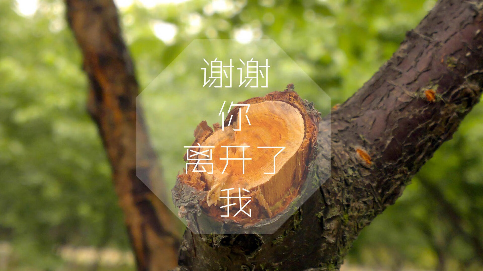 东风压倒西风，久保建英的魔术脚，如何在美国肌肉丛林里，刺穿匈牙利的铁幕